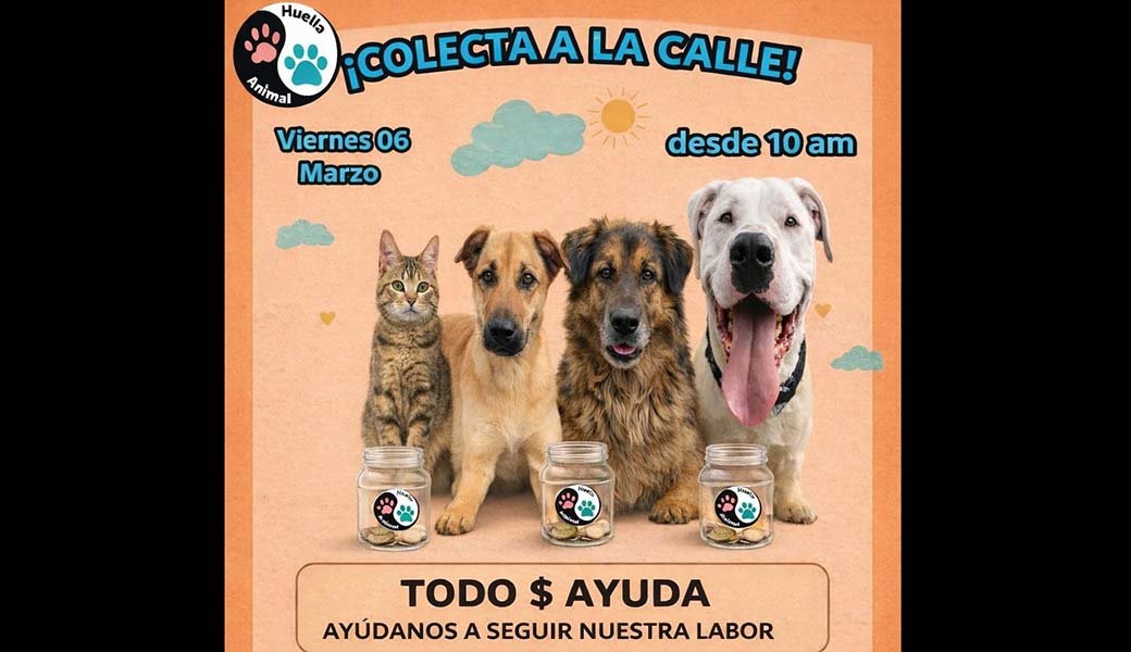 Huella Animal Angol realizará colecta solidaria este viernes